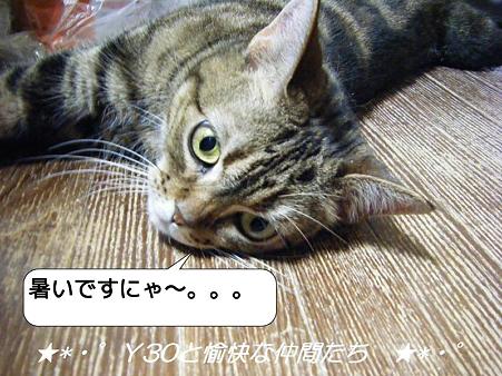 20090711_140424