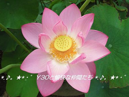DSCF0061_pa