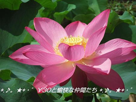 DSCF0048_pa