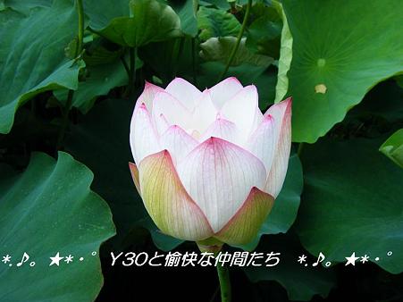 DSCF8790_pa