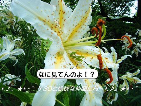 20090727_001655
