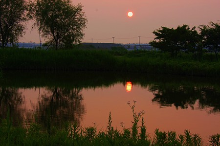 湖南水辺公園