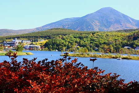 白樺湖　ドウダンツツジの紅葉と蓼科山