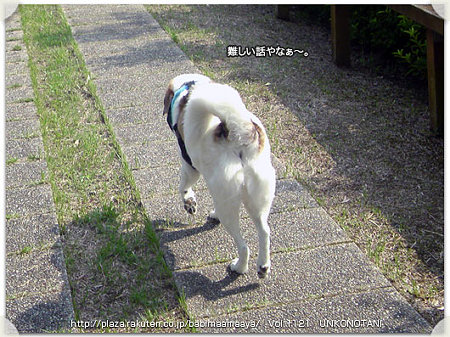 愛犬バビの 犬の視線日記 Blog編其の1121 うんこの単位