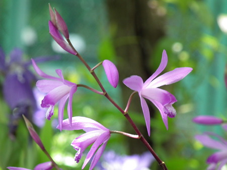 DSCF0087