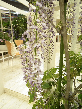 DSCF0984