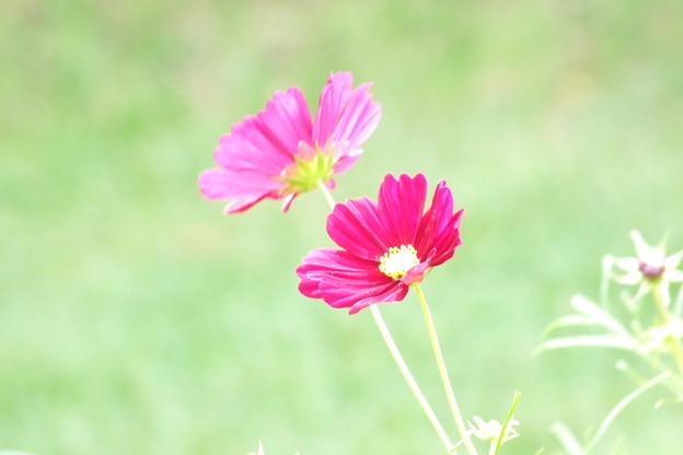 DSCF0734