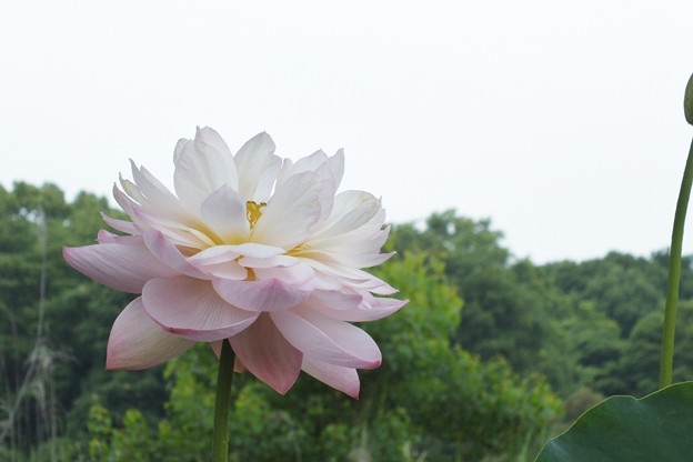 DSCF0045