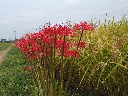 2009_09180076
