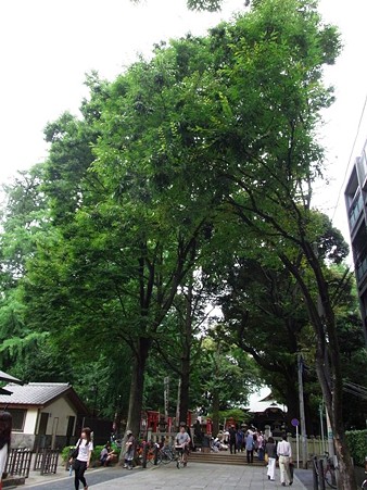 鬼子母神参道