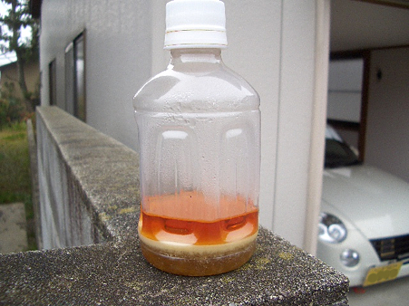 CIMG8804-2