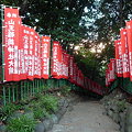 Photos: 山王稲荷神社(日枝神社 内) 16