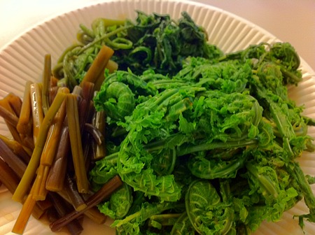 見よこの山菜