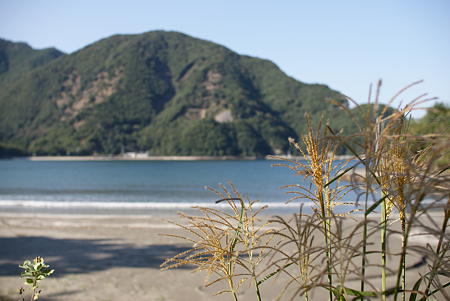 秋　海と空