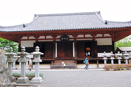 壷阪寺2012年05月04日_DSC_2363