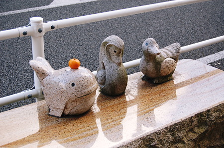 2011年01月10日_DSC_0240