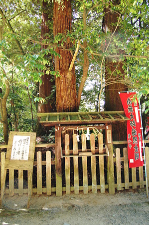 2011年04月17日_DSC_0069