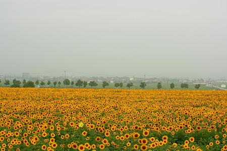 IMG_24001