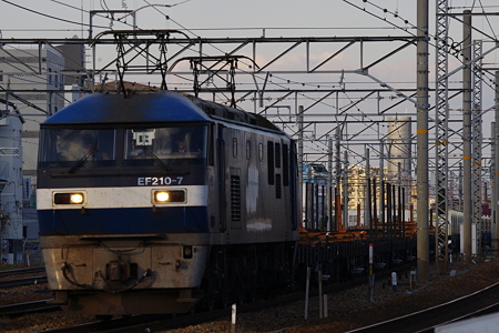 IMGP6815