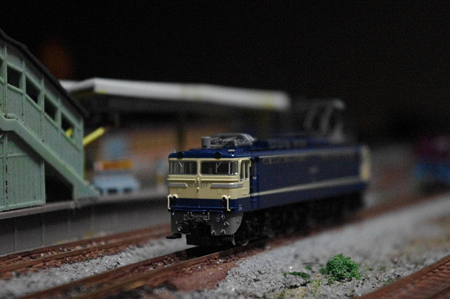 IMGP7498