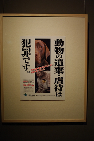 K7__2876