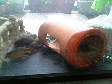 Image033
