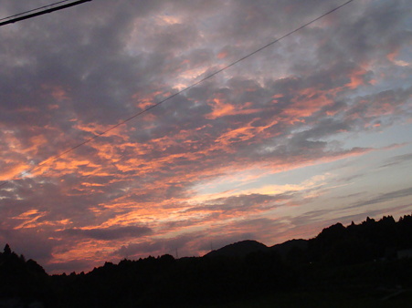 DSC02521
