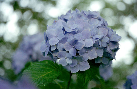 Image0644（ASAHI PENTAX ME）