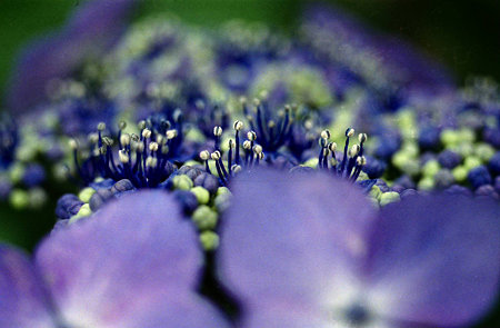 Image0646（ASAHI PENTAX ME）