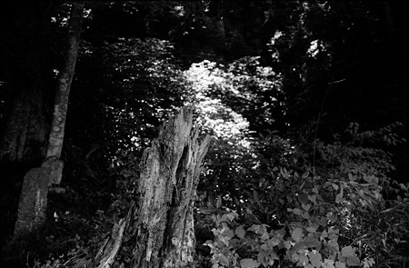 Image0807(OLYMPUS 35 SP)
