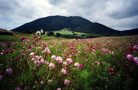 Image0890