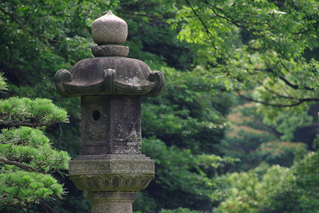 IMGP8661