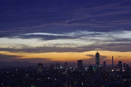 IMGP9558