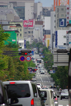 IMGP4561