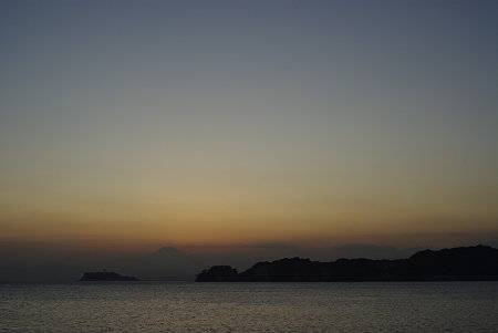 IMGP5481