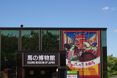 IMGP7908