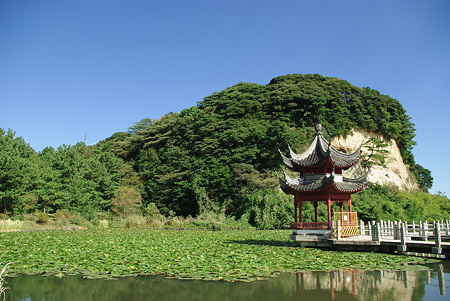 IMGP7939