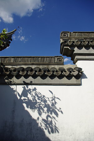 IMGP7962