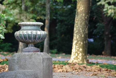 IMGP8398