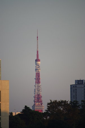 IMGP8431