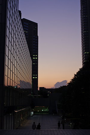 IMGP8484