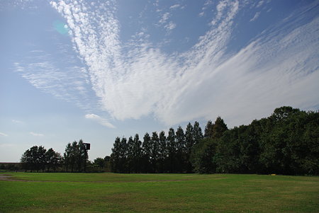IMGP8550
