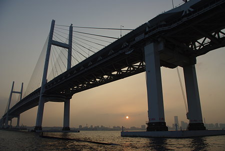 IMGP8617