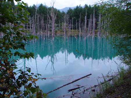 DSC00076