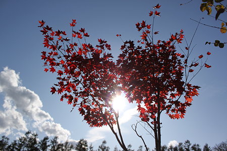 2009_10_10_0324