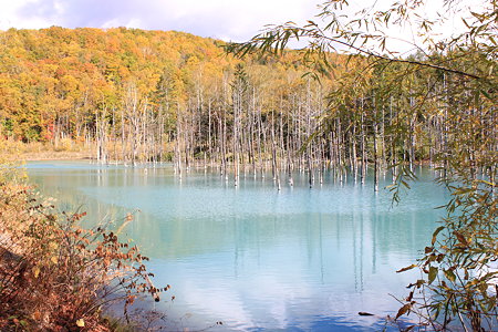 2009_10_11_0350