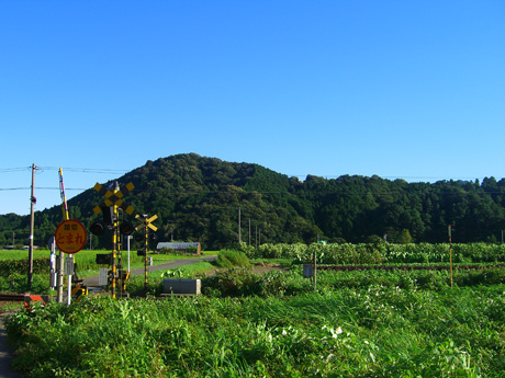 写真: 夏山