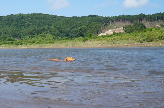 水日和