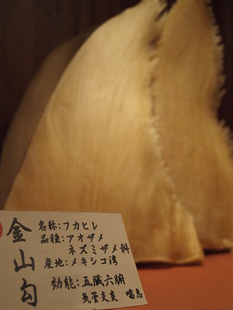 これぞフカヒレ