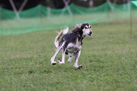 IMG_6791